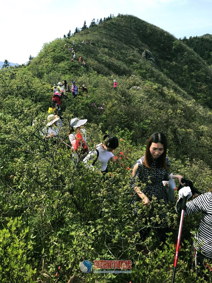 去到那十重大界山