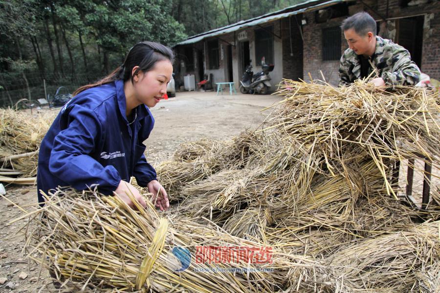 下岗职工回乡承包山林当“野猪王”