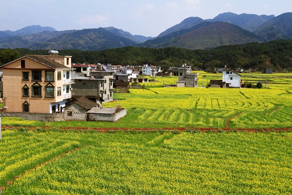 3月4日上午,由新宁县旅游局牵头,崀山风景名胜区,崀山镇政府支持,翔龙