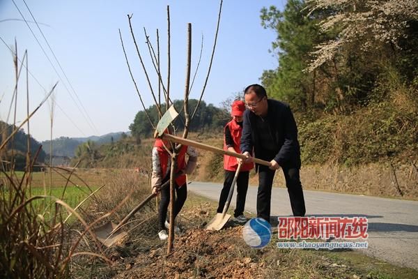绥宁县开展全民植树月 为生态文明建设添砖加瓦_邵阳头条网