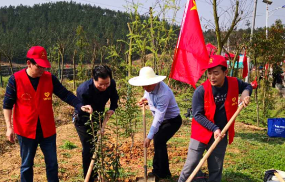 邵阳市经开区高崇山镇开展义务植树活动