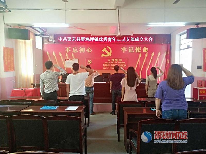 邵东县野鸡坪镇青年农民党支部和青年之家正式成立_邵商网