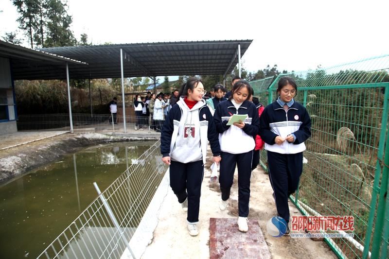 武冈二中组织学生深入铜鹅养殖基地开展社会实践研学活动