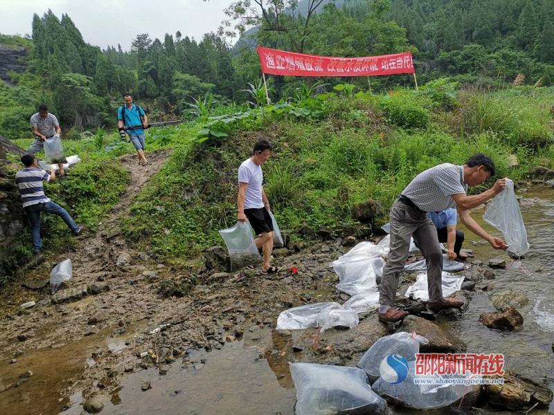 隆回县西洋江镇:保护母亲河 300万尾鱼苗放流西洋江