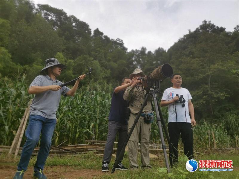 邵阳市林业局加快推进生物多样性资源调查工作