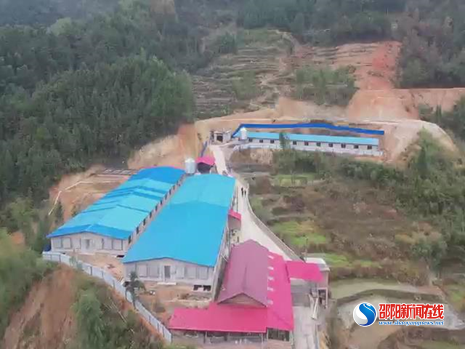 绥宁县：推进生猪高质量发展 促进农民稳定增收