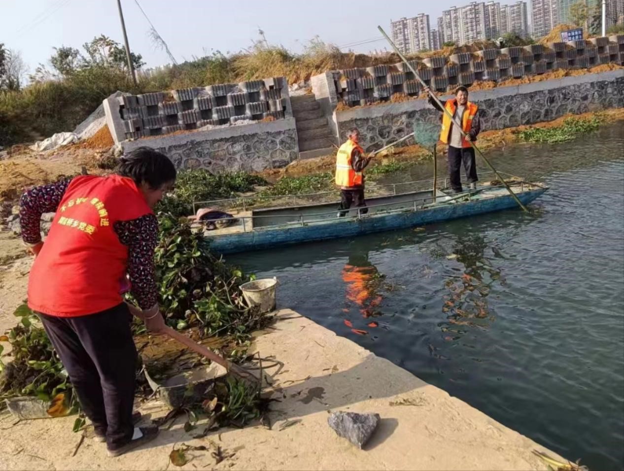 邵东市周官桥乡开展水葫芦清理专项行动