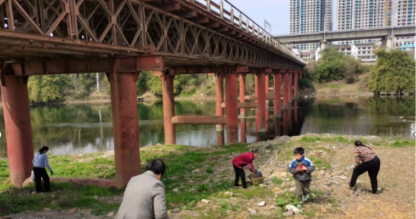 邵阳市大祥区：河道垃圾清理行动 助力水清岸绿