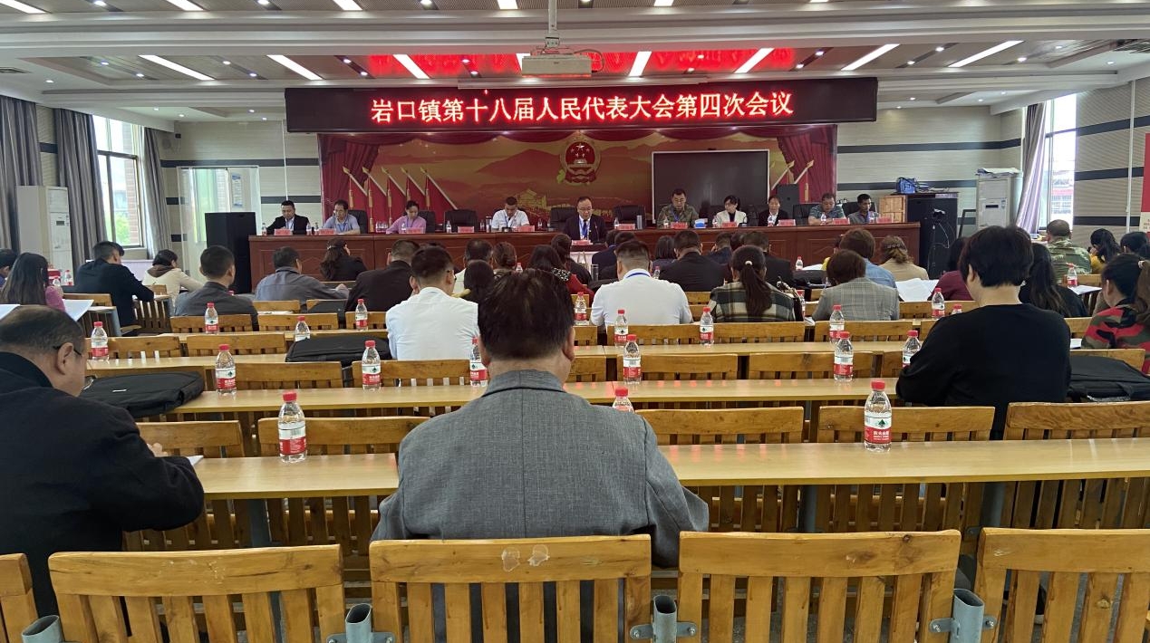 隆回县岩口镇召开第十八届人民代表大会第四次会议