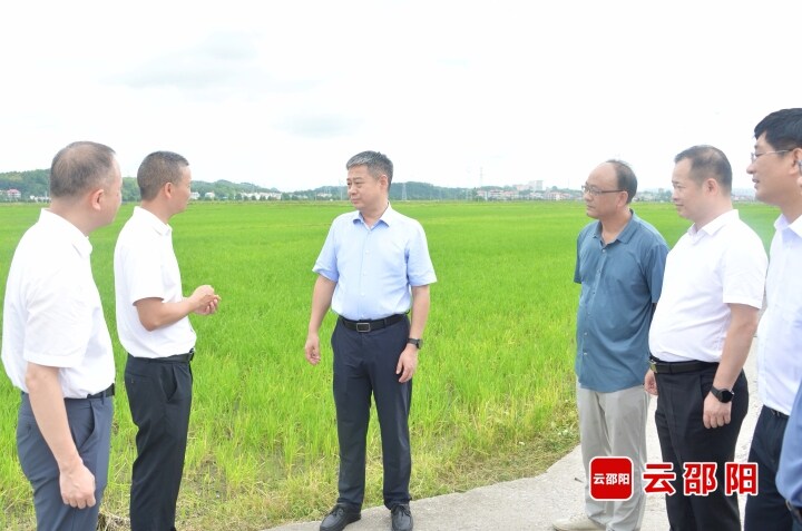 严华在武冈调研粮食生产、地质灾害防治和生态环境保护工作