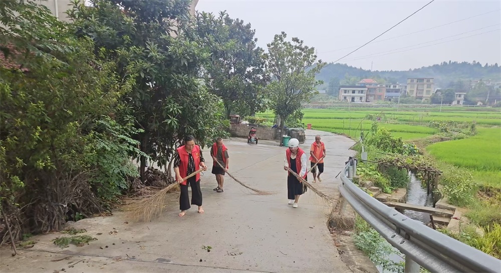 洞口县茶铺茶场管理区双塘村积极开展道路环境整治 提升村容村貌