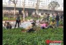 江北广场预计元旦前可向市民开放使用(图)