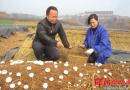 大学生村官曾建波钻研实用农技手把手教给村民