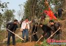 绥宁县在满顶界公园举行隆重的捐款植树活动
