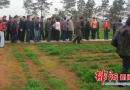 渡头桥镇芹菜村百亩草种基地引来专家学者考察
