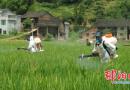 绥宁县武阳镇党员服务队为受灾户进行统防统治