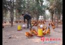 抬头观路 回首思乡