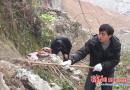 绥宁县2000多名党员干部清扫卫生死角迎新春