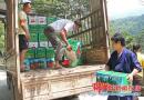 绥宁县黄桑乡种植高山西红柿质好货俏