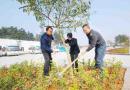 城步汽车北站重资打造生态、花园式车站