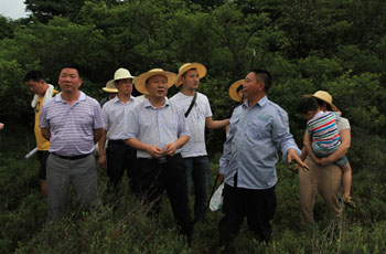 城步县委书记罗建南调研白云湖国家湿地公园