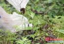 城步100余名“农田卫士”劫后重归家园“履职”