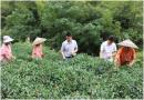 城步汀坪乡深入产业发展一线  查民情解民忧帮民困