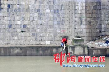 小狗掉落邵水河面临死亡 男子救起小狗送往宠物医院