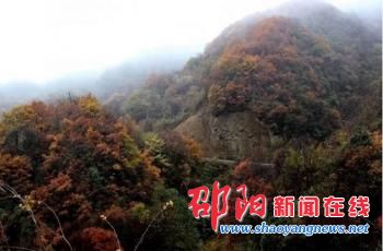 城步两江峡谷森林公园数百个山岭枫叶红透醉美如画