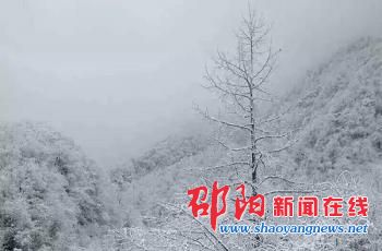 隆回县迎来入冬第一场雪 大山“银装素裹”美不胜收