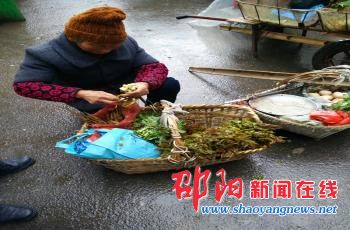 邵阳野菜受市民青睐 专家提醒寻野尝鲜需谨慎