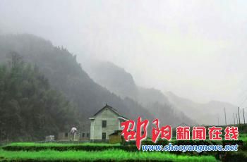 新邵县坪上镇将举行盛大赏花节开幕式 一镇赏尽时下花