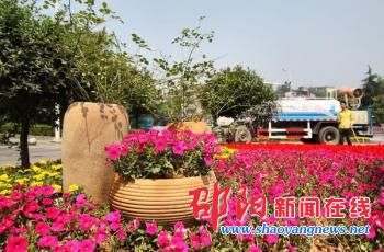 邵阳城区路中花坛数万株鲜花竞相绽放 色彩明艳装扮市容