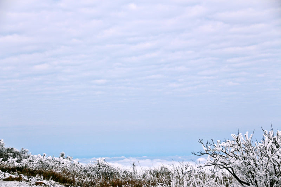 “初雪”时节一起去新邵龙山看雪景