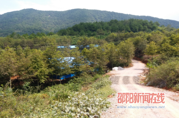 新邵县地方海事处因地制宜发展特色产业