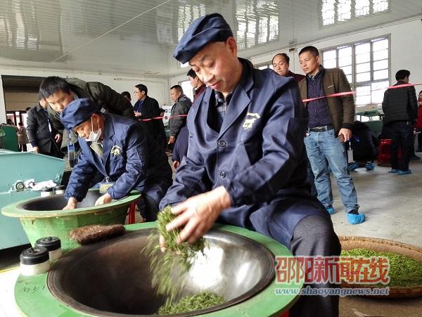 邵阳市茶企代表与茶叶爱好者PK制茶技艺