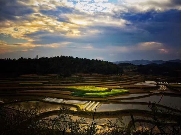 武冈市稠树塘镇花塘村岩塘湾 水田绕绿景
