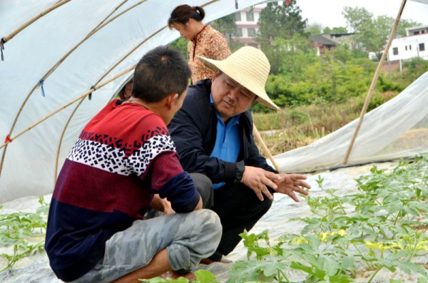 邵阳市农科院调研邵东县黑田铺镇西瓜种植工作