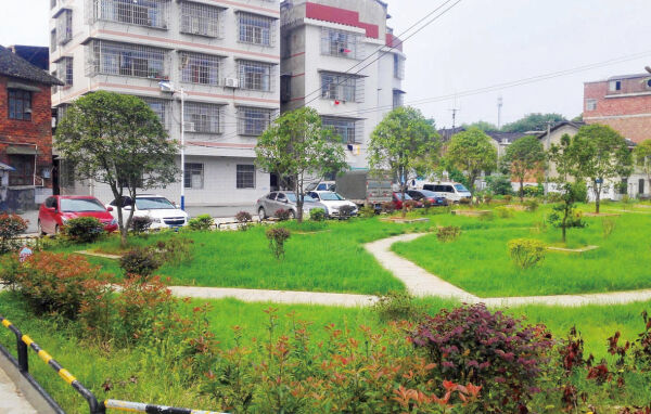 双清区洄水头：居民自治共建示范城中村
