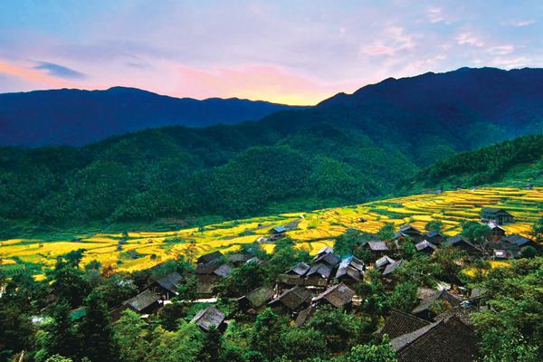 明年去哪看油菜花？ 来绥宁县“百公里油菜走廊”踏青吧