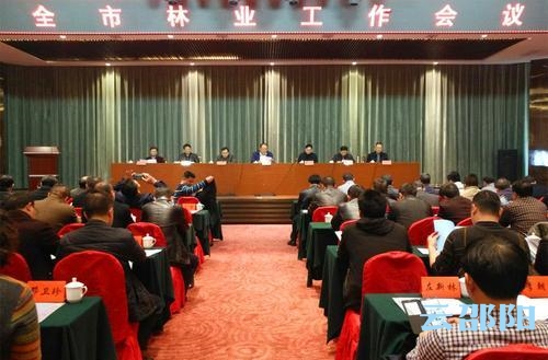 好消息！我市林业工作获全省优胜单位表彰