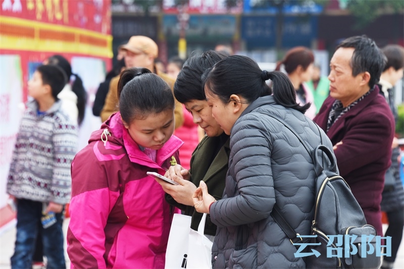 市民用手机百度想从中找到答案。 谢冰  摄.jpg