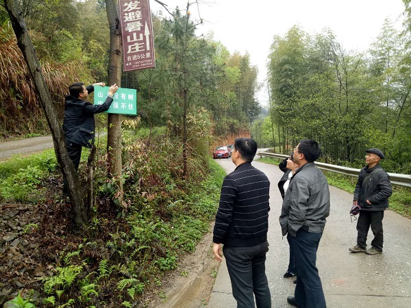 新宁县民政局：义务植树展新颜 绿化扶贫暖人心