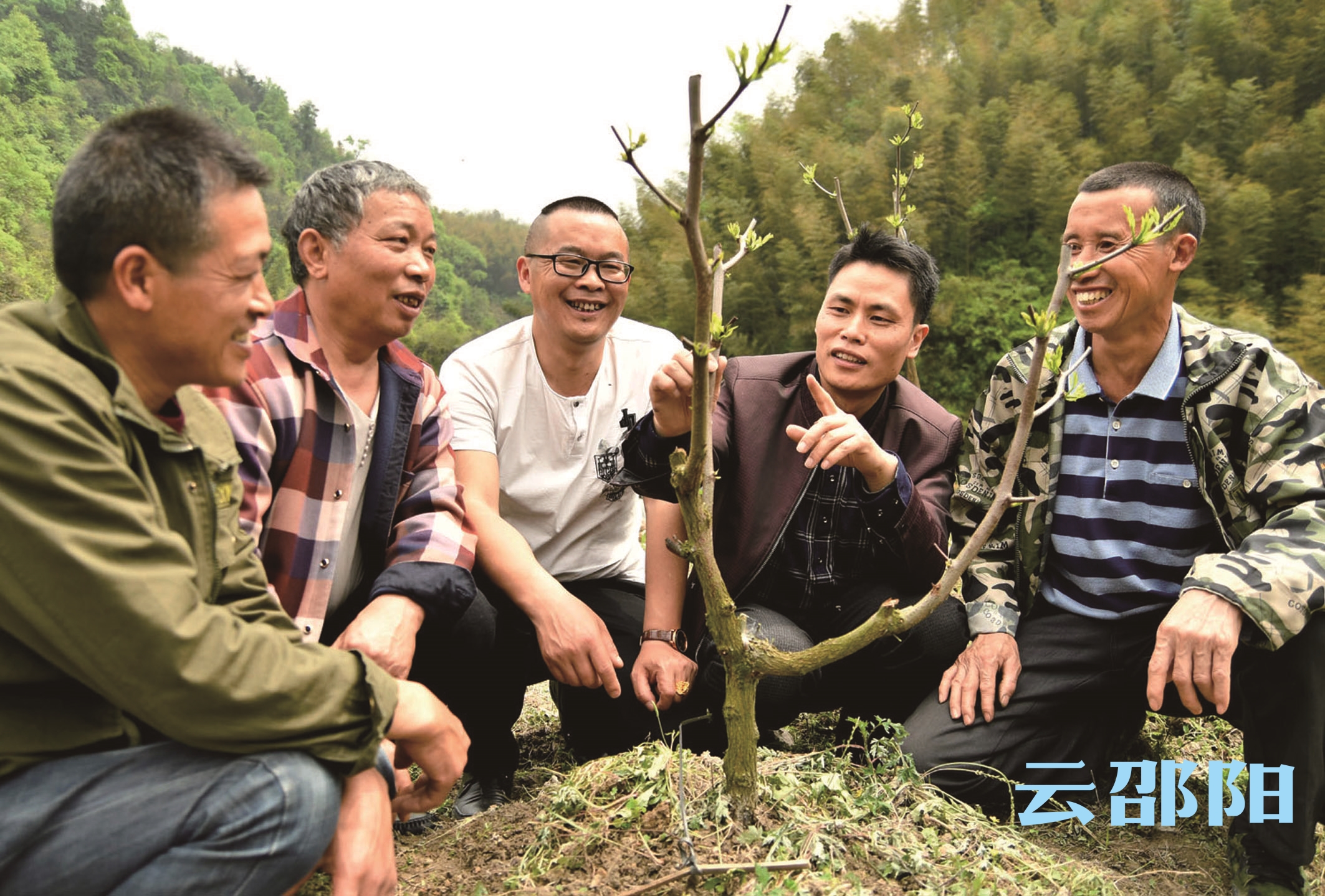 城步：果树专家授技术 乐了农民