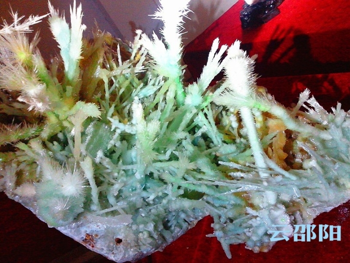 央视摄制组来邵阳了！为了拍摄这个全球首次发现的稀世珍宝……
