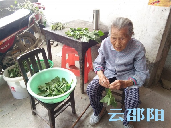邵阳百岁老人端午节里“晒健康”
