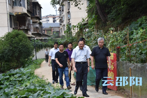 龚文密：解决环保突出问题 加强河道综合治理