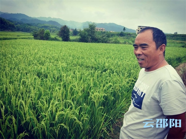 绥宁四十年“赶花粉”赶出一个12亿元产业