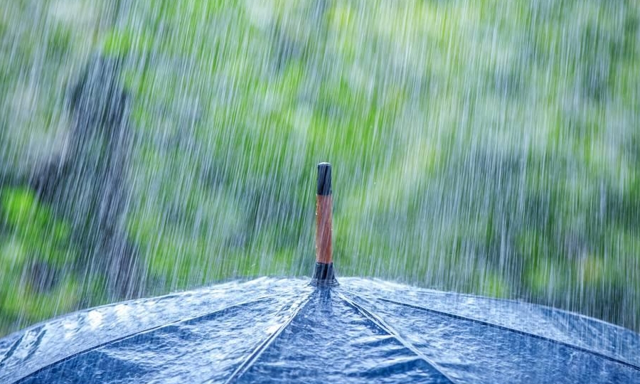 台风“山竹”影响邵阳出现小到中雨 未来三天阴雨晴相间