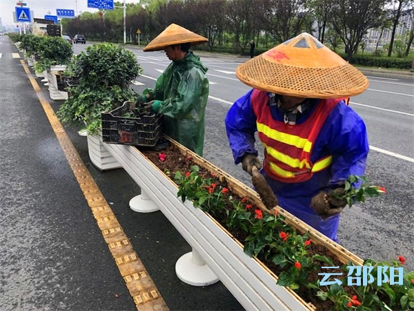 18万盆鲜花！这个国庆邵阳将被花“扮靓”